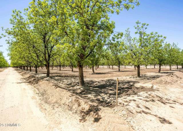 Property at TBD Snow Rd, Las Cruces, NM 88005