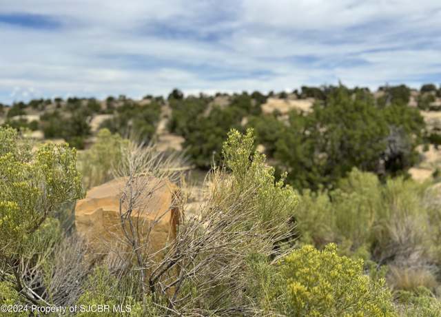 Property at 1600 Vista Hermosa Trl, Farmington, NM 87401
