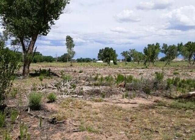 Property at X Road 5195, Bloomfield, NM 87413