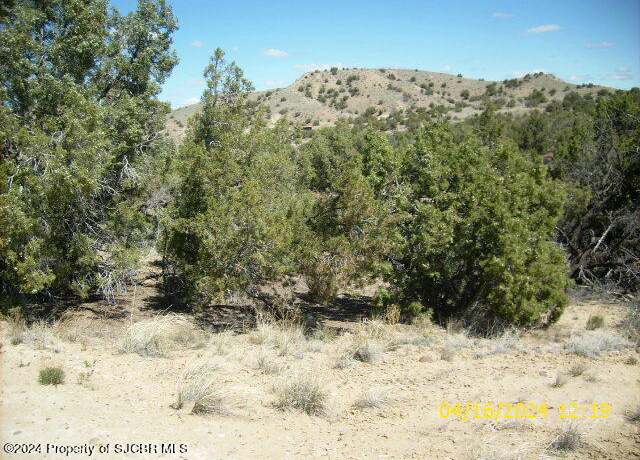 Property at XX Road 3179, Aztec, NM 87410