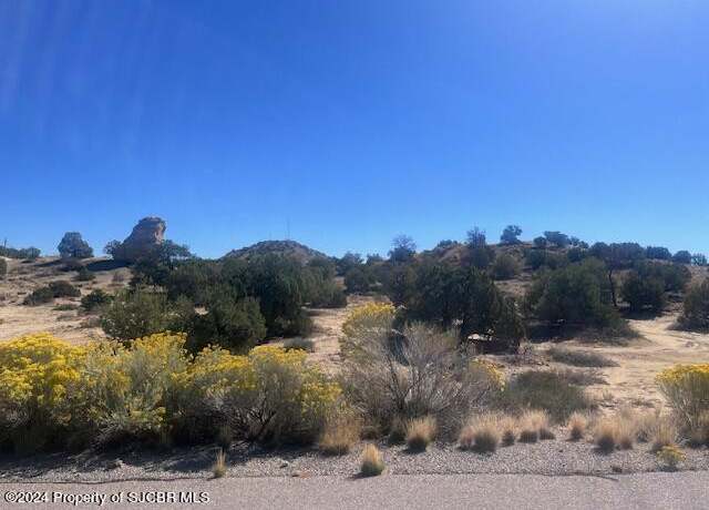 Property at XXX Vista Grande Dr, Farmington, NM 87401