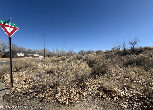 Property at NYA Anasazi Dr, Aztec, NM 87410