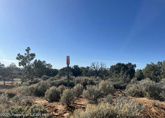Property at 731 Road 4600, Navajo Dam, NM 87419