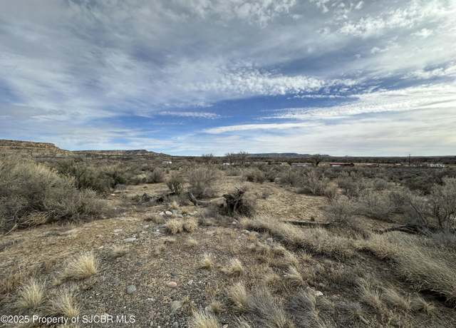 Property at XXX Road 4599, Blanco, NM 87412