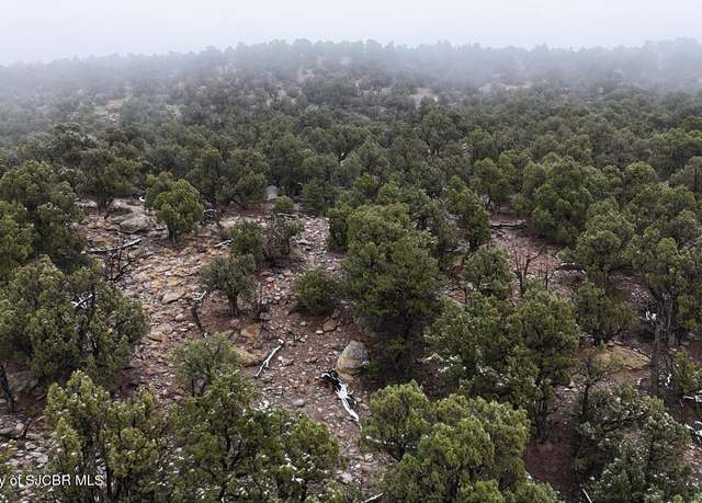 Property at XXX 2.405 AC NM 511, Navajo Dam, NM 87419