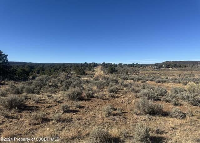 Property at XX Road 4000, Middle Mesa, NM 81137