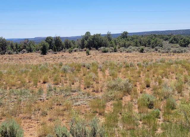 Property at LOTS 85,91 NM 511, Navajo Dam, NM 87419