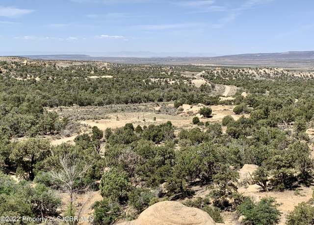 Property at XYZ Road 1354, La Plata, NM 87418