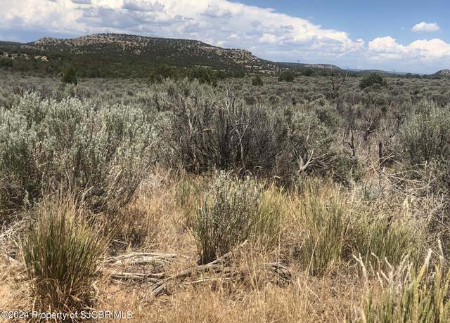 Property at LOT 76 NM 511, Navajo Dam, NM 87419