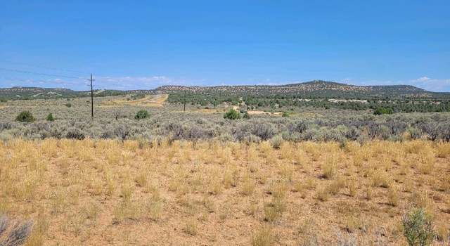 Photo of NYA Road 4056, Navajo Dam, NM 87419
