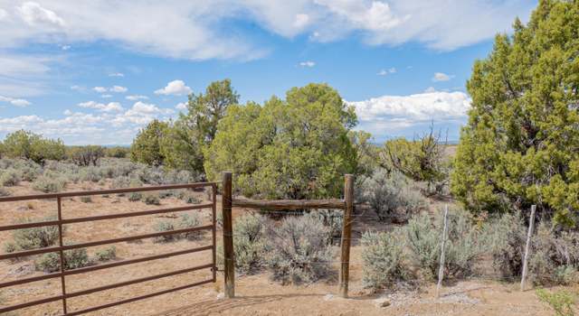 Photo of 13 Road 1352, La Plata, NM 87418