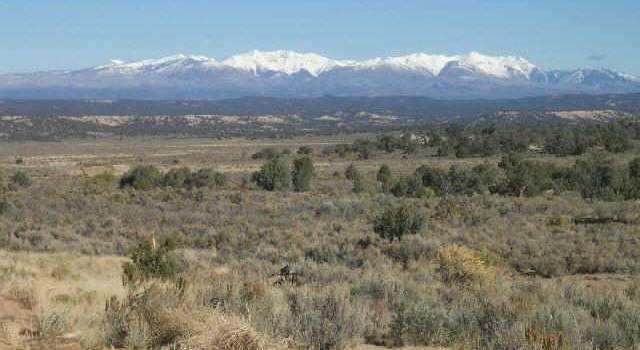 Photo of LOT 17 Road 1352, La Plata, NM 87418