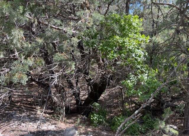 Property at Lot 2 Kipling Dr, Timberon, NM 88350