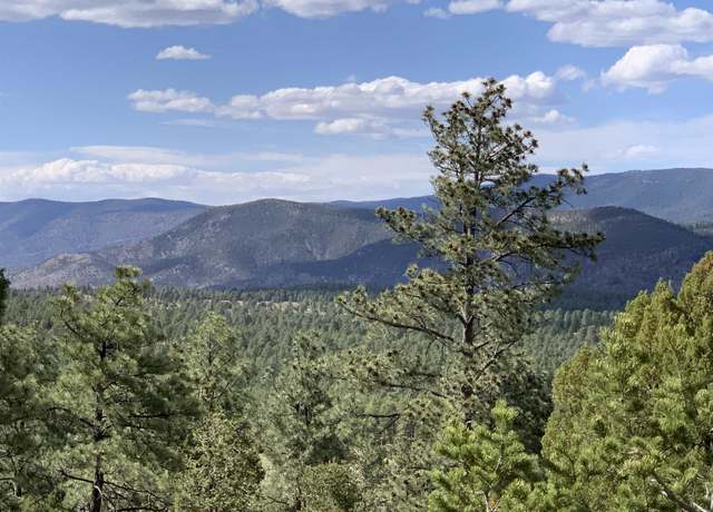Property at Norwood Dr, Timberon, NM 88350