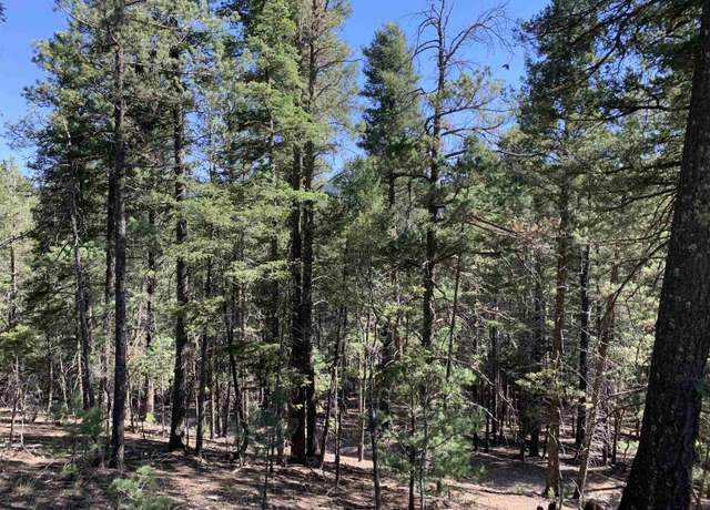 Property at 5&6 Lodge Spring Rd, Cloudcroft, NM 88317