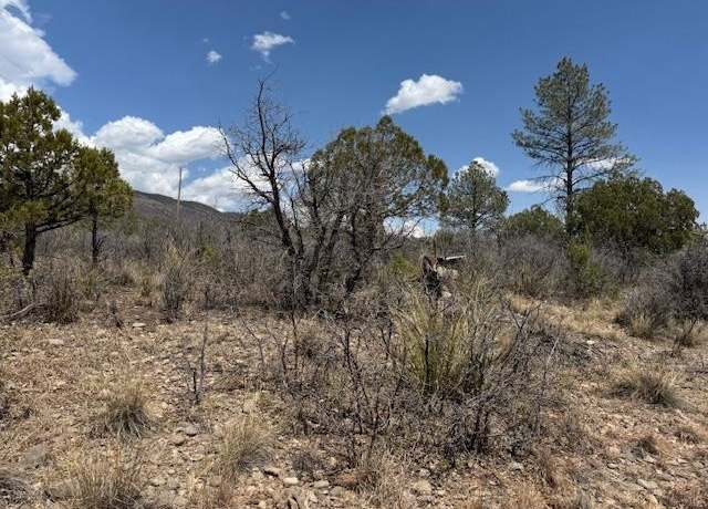 Property at Lot 22 Milton Rd, Timberon, NM 88350