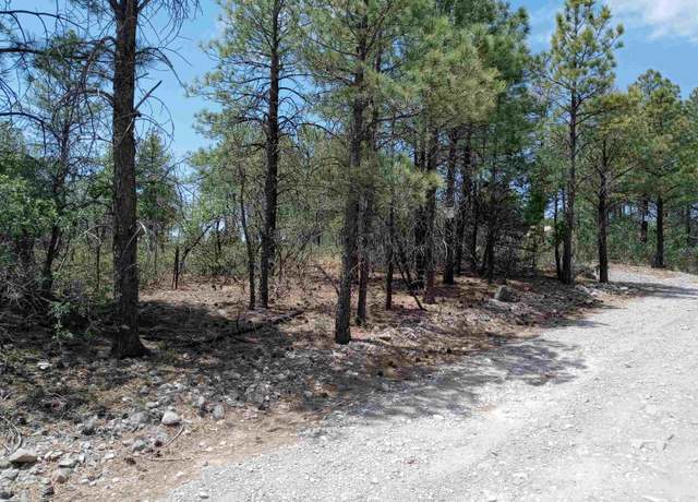 Property at Property in Timberon, NM 88350