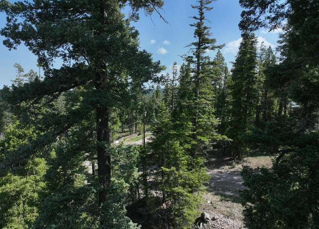 Property at 1206-08 Jim Tom Ct, Cloudcroft, NM 88317