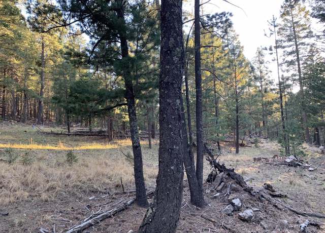Property at 42 Cowan Rd, Mayhill, NM 88339, 2 beds, 2 baths