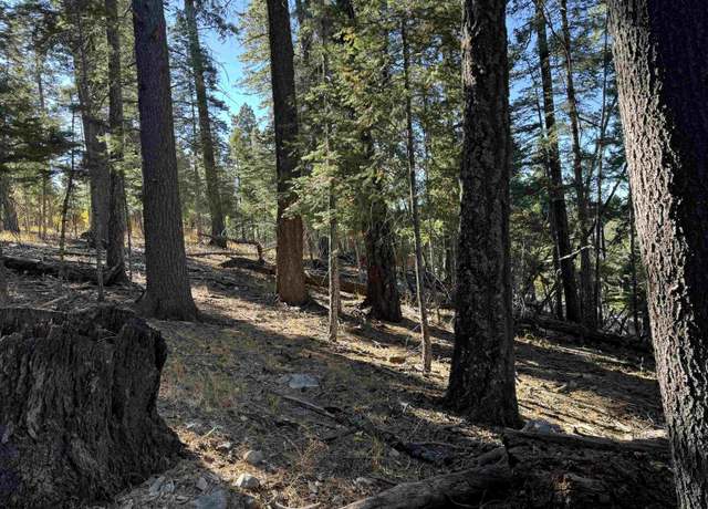 Property at 800 Shells Ln, Cloudcroft, NM 88317