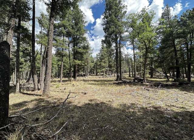Property at Big Dipper Rd, Cloudcroft, NM 88317