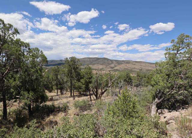 Property at 000 Trailer Rd, Timberon, NM 88350