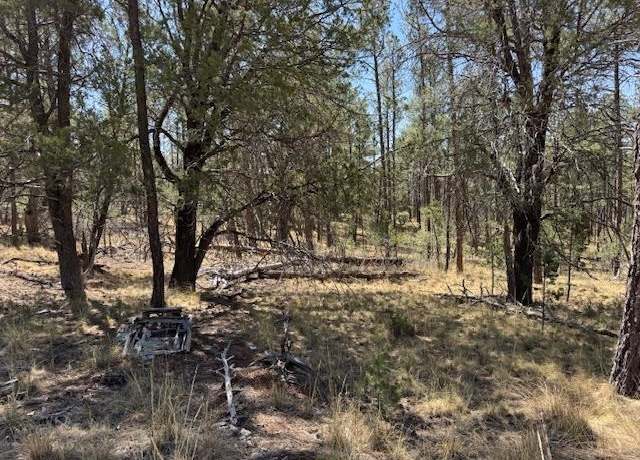 Property at Lot 20 Drury Ln, Timberon, NM 88350