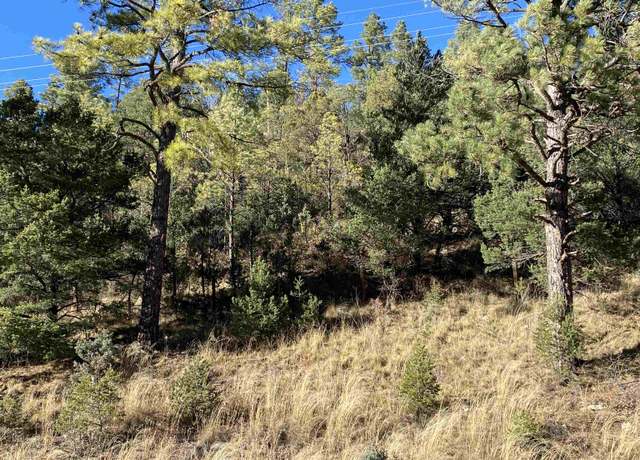 Property at Lot 1A Blk 3 Hwy 82, Mayhill, NM 88339