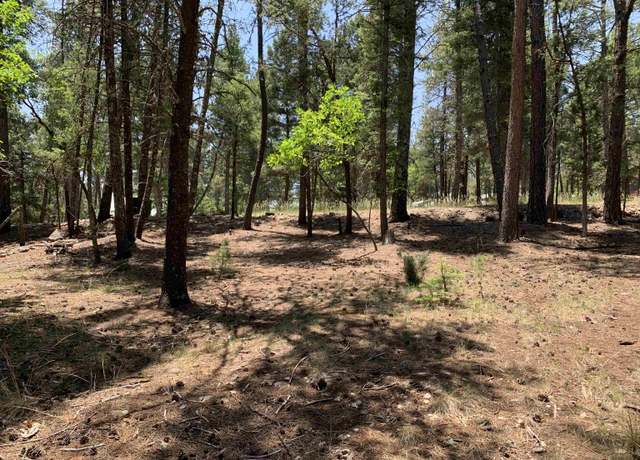 Property at 7 Timber Wolf, Mayhill, NM 88339