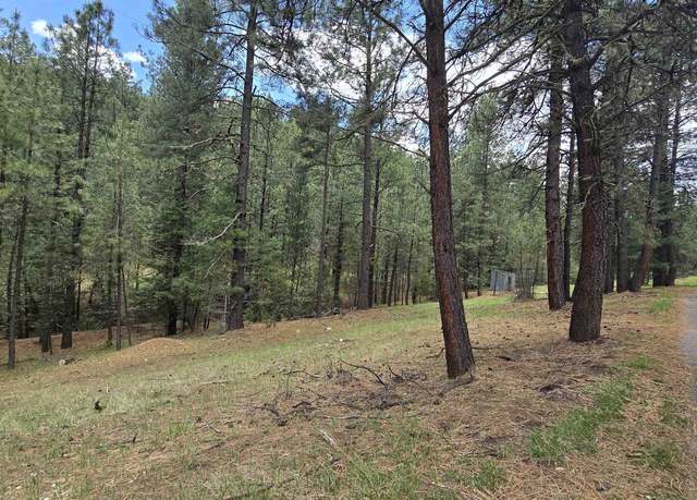 Property at 00 Cowan Rd, Mayhill, NM 88339