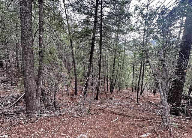 Property at Devils Tower Ln, High Rolls Mountain Park, NM 88325