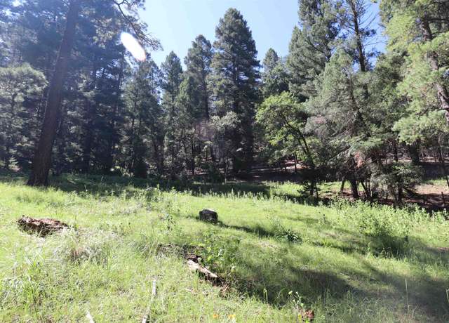Property at 000 Evergreen Ln, Cloudcroft, NM 88317
