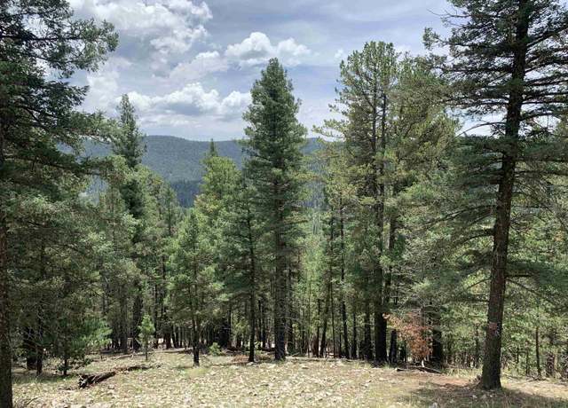 Property at 55 Forest View Rd, Cloudcroft, NM 88317