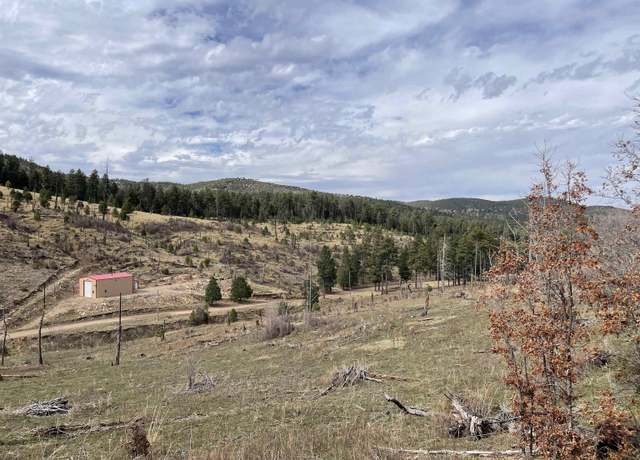 Property at Balsam Dr, Sacramento, NM 88347
