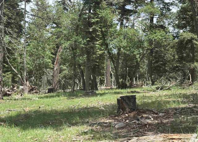 Property at Jim Tom Way, Cloudcroft, NM 88317