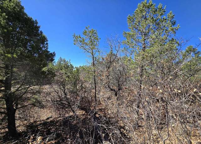 Property at 00 Miles Loop, Timberon, NM 88350