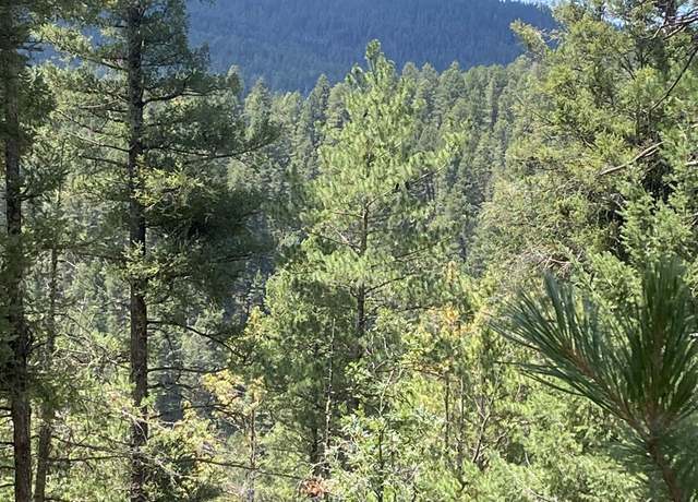 Property at Heather Way, Cloudcroft, NM 88317