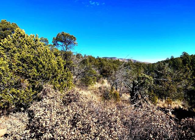 Property at Ruby Dr, Timberon, NM 88350