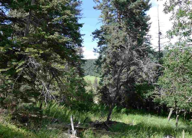 Property at 8 Elk Wallow, Cloudcroft, NM 88317
