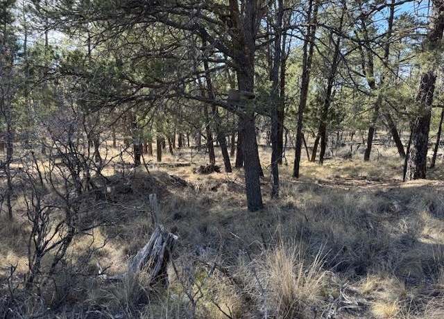 Property at Lot 4 Aberden St, Timberon, NM 88350