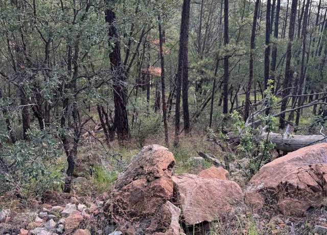 Property at Lot 12 Electrum Cir, Timberon, NM 88350
