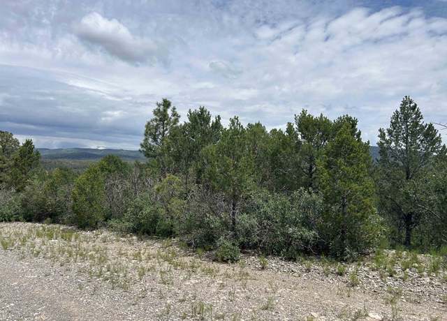 Property at 27 Chresta Loma Dr, Timberon, NM 88350