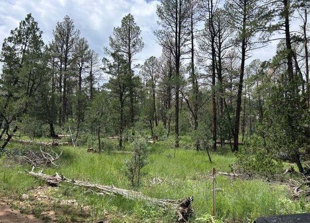 Property at 92 Hunter Ave, Timberon, NM 88350