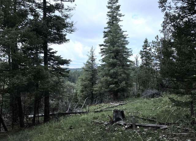 Property at Lot 58 Big Dipper Rd, Cloudcroft, NM 88317