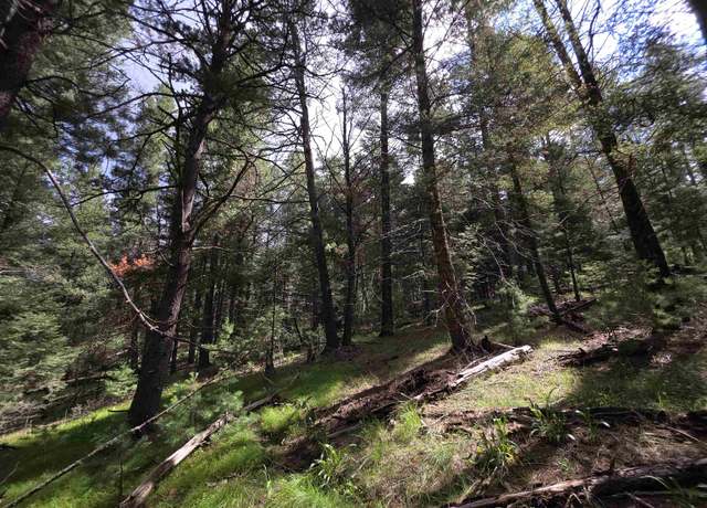 Property at 000 Retreat Rd, Cloudcroft, NM 88317