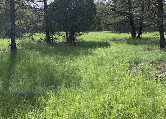 Property at 46 Rocky Trail Rd, Timberon, NM 88350