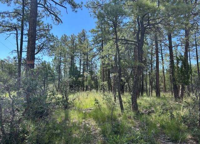 Property at 16 Homewood Dr, Timberon, NM 88350