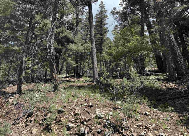 Property at Bat Row, Cloudcroft, NM 88317