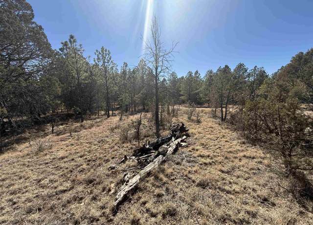Property at El Dorado, Timberon, NM 88350