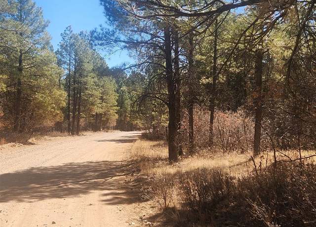 Property at Carson Dr, Timberon, NM 88350